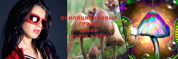 a pvp Аркадак