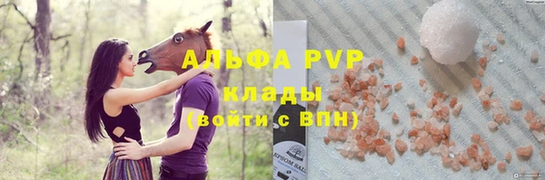 шишки Арсеньев
