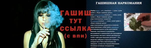шишки Арсеньев