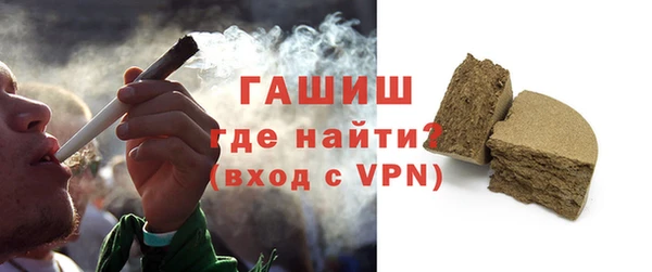 шишки Сатка