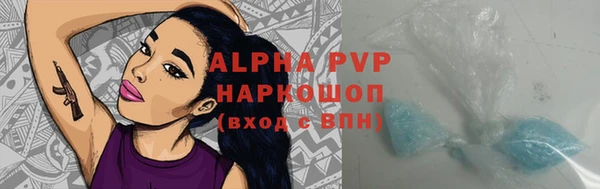 шишки Арсеньев