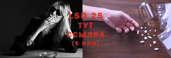 PSILOCYBIN Армянск