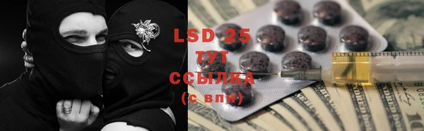 PSILOCYBIN Армянск