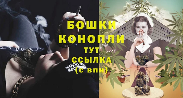 шишки Арсеньев