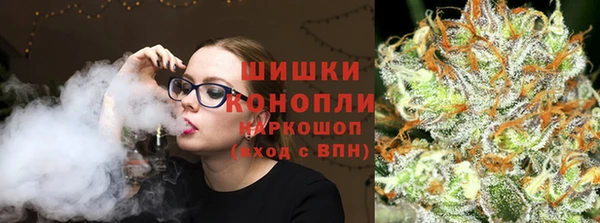 шишки Арсеньев